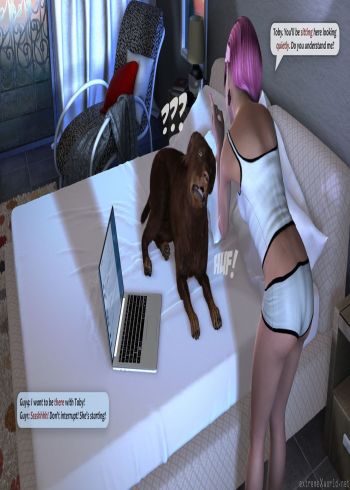 Cover of Boring Evening